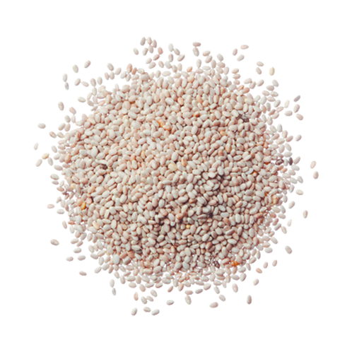 Chia Blanca