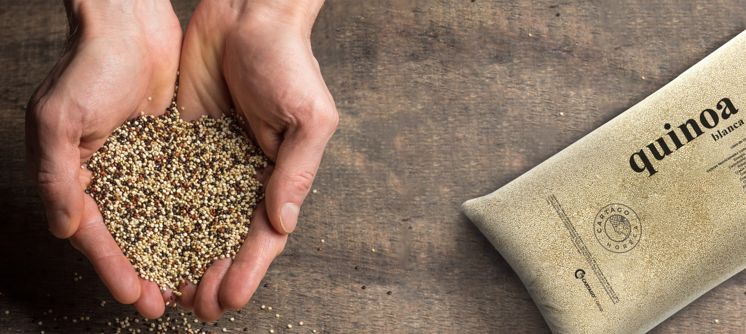 CARTAGO-HORECA-web-2