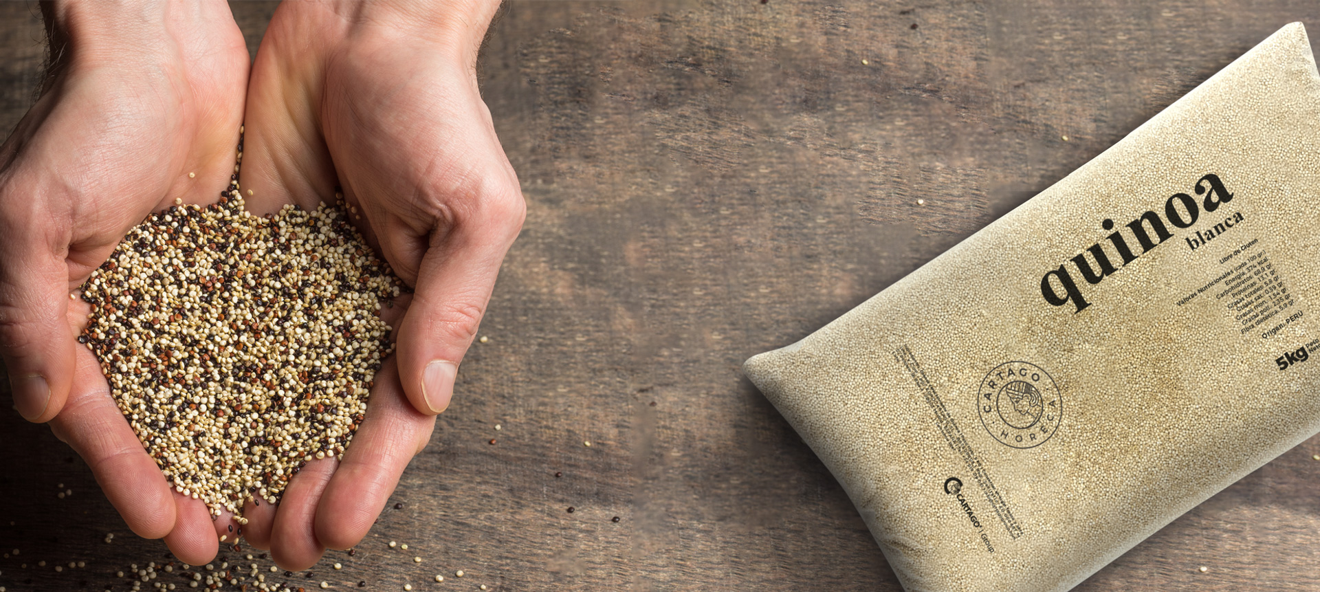 CARTAGO-HORECA-web-1-1